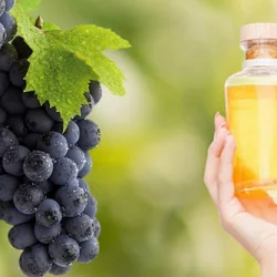 Is Grape Seed Oil Good for Varicose Veins?